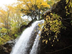 故郷、高山村