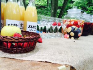 ツリーハウス