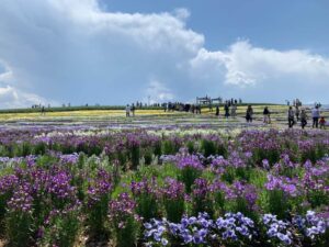 信州花フェスタ2019