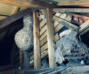 小屋裏の秘密…！