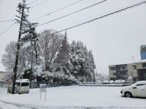 春の雪