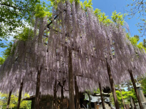 【上田市】ちょこっとリフォーム