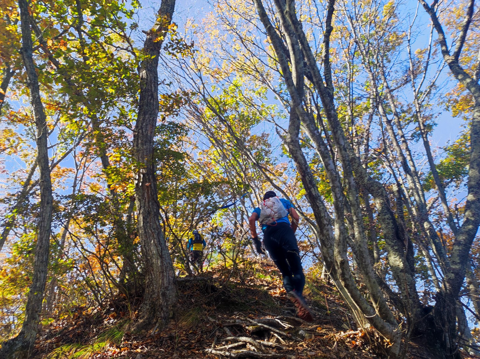 【今年最後の紅葉トレイル】～信州松代ラウンドトレイル～