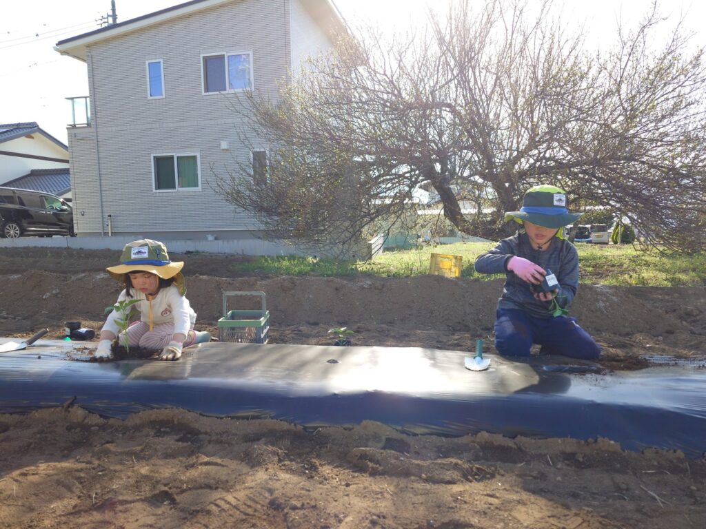 家庭菜園～松本市～