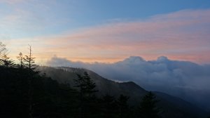 雲海