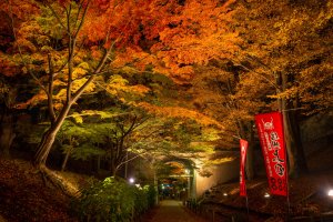 上田城紅葉祭り