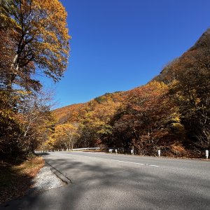 すてきな紅葉